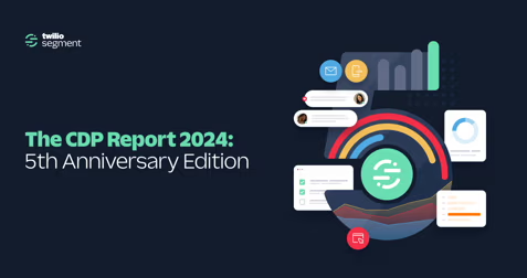 The Customer Data Platform Report 2024